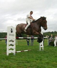 Ardennes Horse, The Ardennes or Ardennais is one of the old…